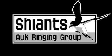 Shiants Auk Ringing Group