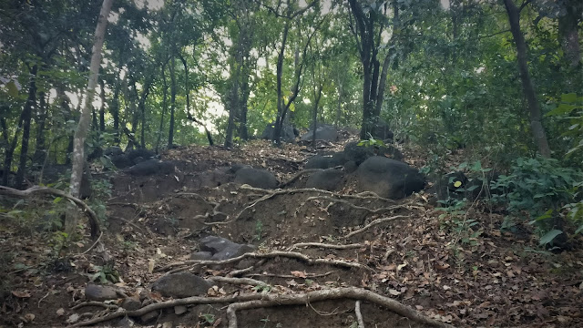 Karnala fort trek