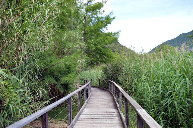 lago di toblino passeggiata cosa vedere