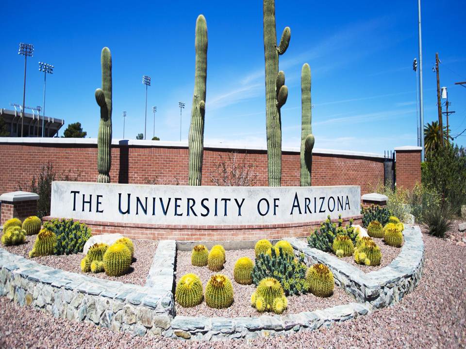 University of Arizona | Online College