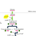 Cours part 1: Sciences de la Vie et de la Terre (SVT) 2ème BAC Sciences de la Vie et de la Terre BIOF Cours part 1: Sciences de la Vie et de la Terre (SVT) 2ème BAC Sciences de la Vie et de la Terre BIOF
