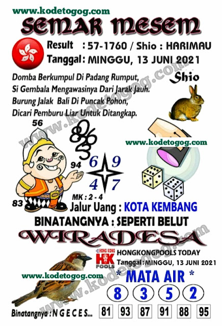 43 Syair totogelo sdy hari ini