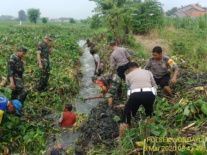Antisipasi Banjir Forkopimka Wonoayu Kerja Bakti Bersih Sungai