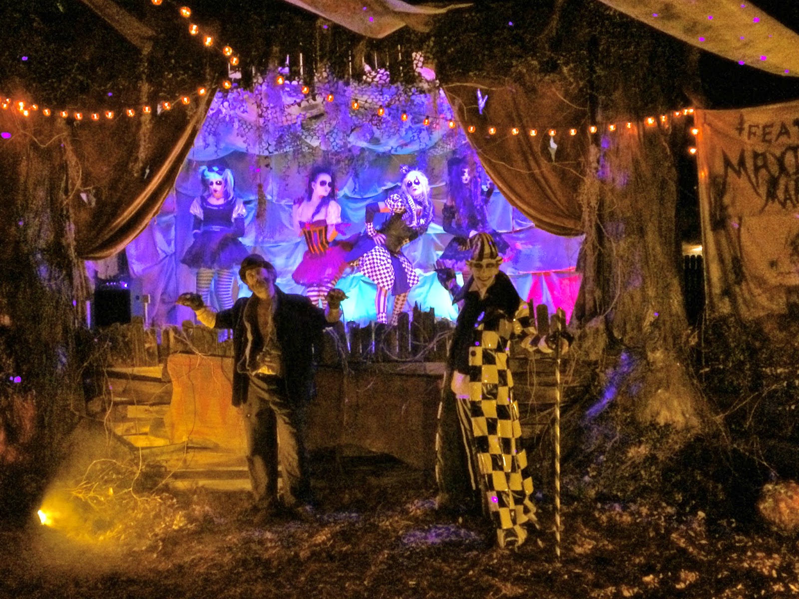 Darkrose Manor January 2015