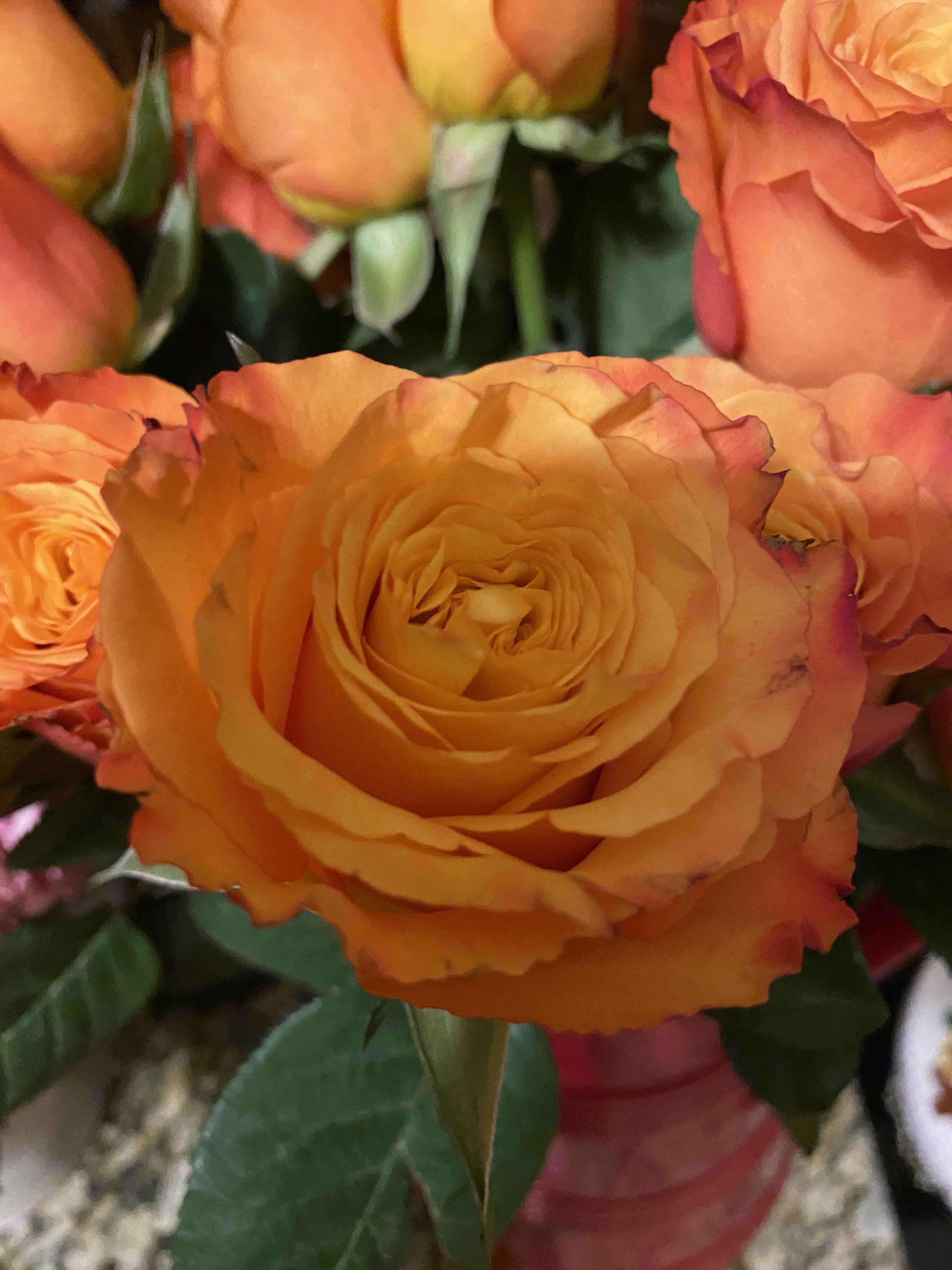 Christian Images In My Treasure Box Sweetest Day Roses