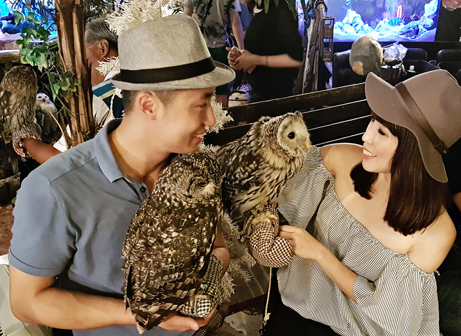 Owl Cafe {Japan Travel} - What it is like to become friends with owls - Every Little Thing