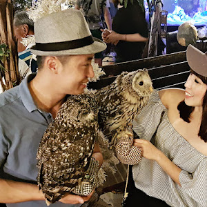 Friends With Owls at an Owl Cafe (Japan)