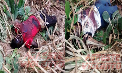 http://opingasangue.blogspot.com/2016/08/foram-encontrados-dois-corpos-nesta.htm