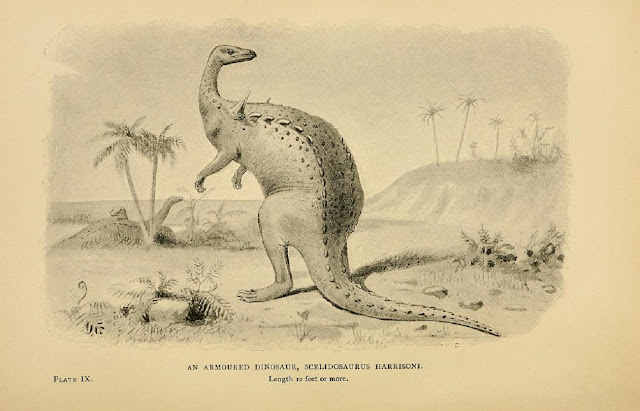Бронированный динозавр, сцелидозавр (Scelidosaurus harrisoni), длиной 12 футов и больше