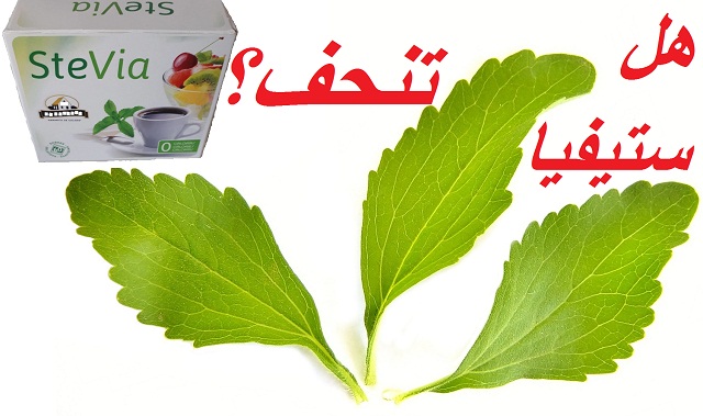 هل رجيم سكر ستيفيا يساعدك على إنقاص الوزن؟