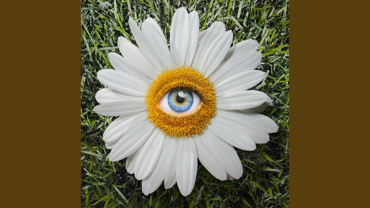 ProjectKingCO "Daisies" (Official Video) Ryan Caraveo