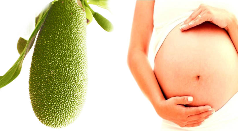 Jack Fruit During Pregnancy