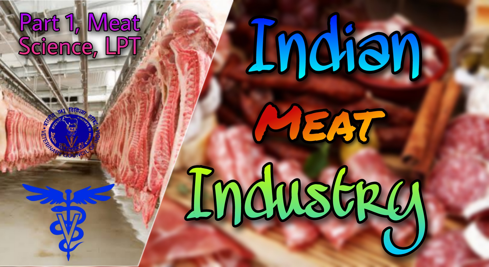 Indian Meat Industry Present Status of Indian Meat Industry.