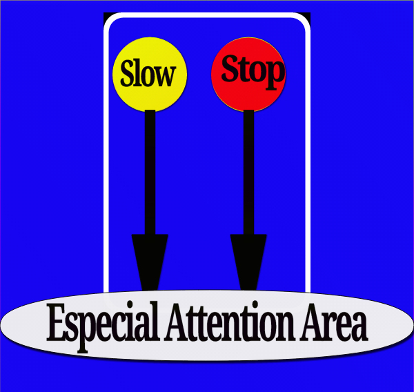 Yes Supportive Education : Especial Attention Areas