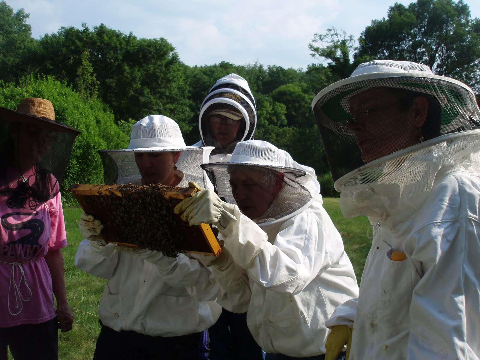 SteffesWood Apiary Aliquippa, PA Women Beekeepers Potluck!