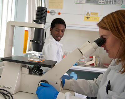 Staff working in a laboratory