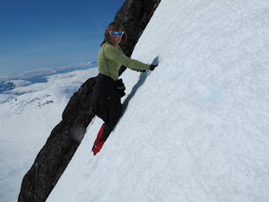 Jotunheimen