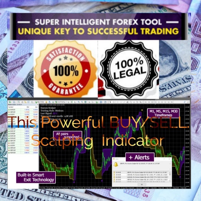 This Powerful BUY/SELL Scalping Indicator - Forex Trading For Beginners