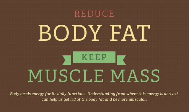Reduce Your Body Fat 97