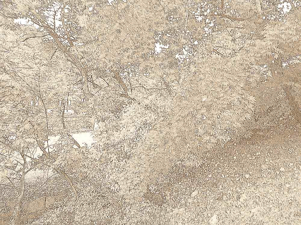 공주 태화산 마곡사 공주 태화산 마곡사