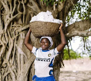 Balancing a basket of freshly harvested cotton on her head.