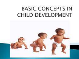 The Most Commonly Basic Concepts in Child Development
