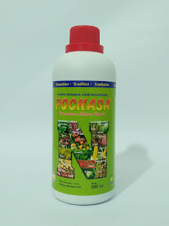 pupuk sawit nasa poc nasa www.tokopupuknasa.com