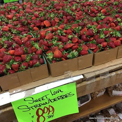 strawberries at Pedrick Produce in Dixon, California