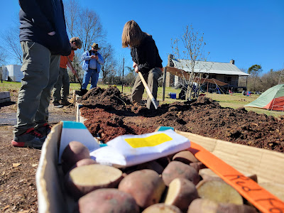 James (center) prepares the raised bed soil before planting potatoes.