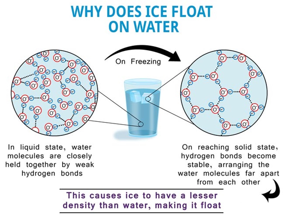 обои на телефон лед. Water ice перевод. Water ice перевод. Ice float on water. The structure of ice.