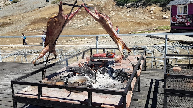 Patagonia parrilla asador criollo Patagonia parrilla asador criollo
