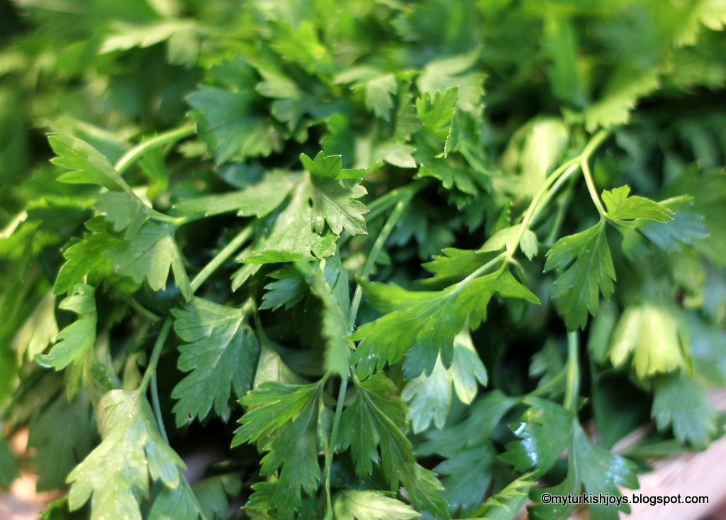The Joys of Parsley Tabbouleh Salad My Traveling Joys
