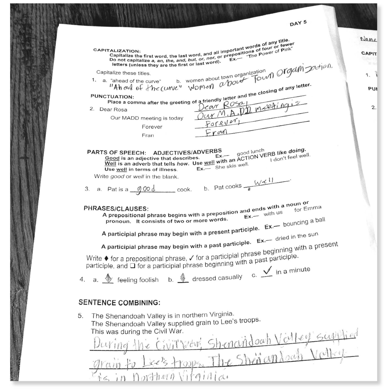 Embracing A Healthy Family Easy Grammar Ultimate Series Grade 9 By Easy Grammar Systems Review