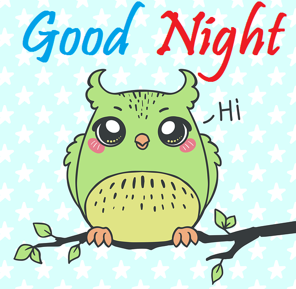 Beautiful Good Night Birds Images for Good Night Wishing Your Hop