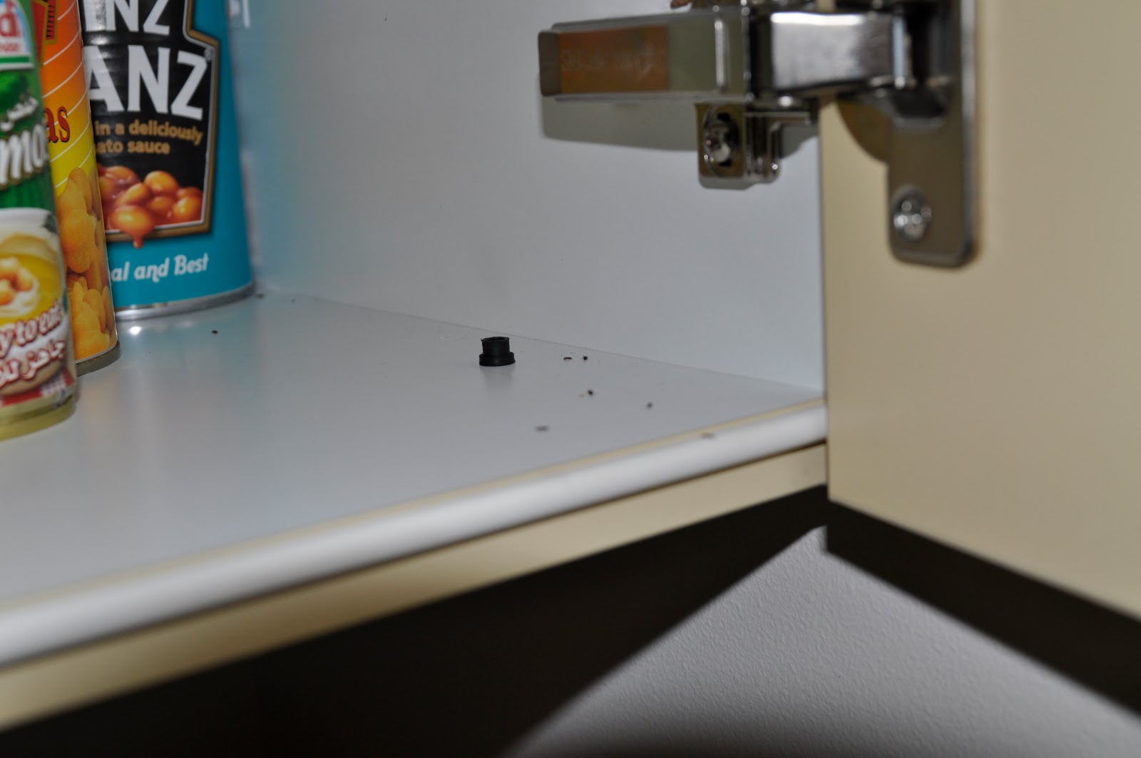 How To Get Rid Of Bugs In Kitchen