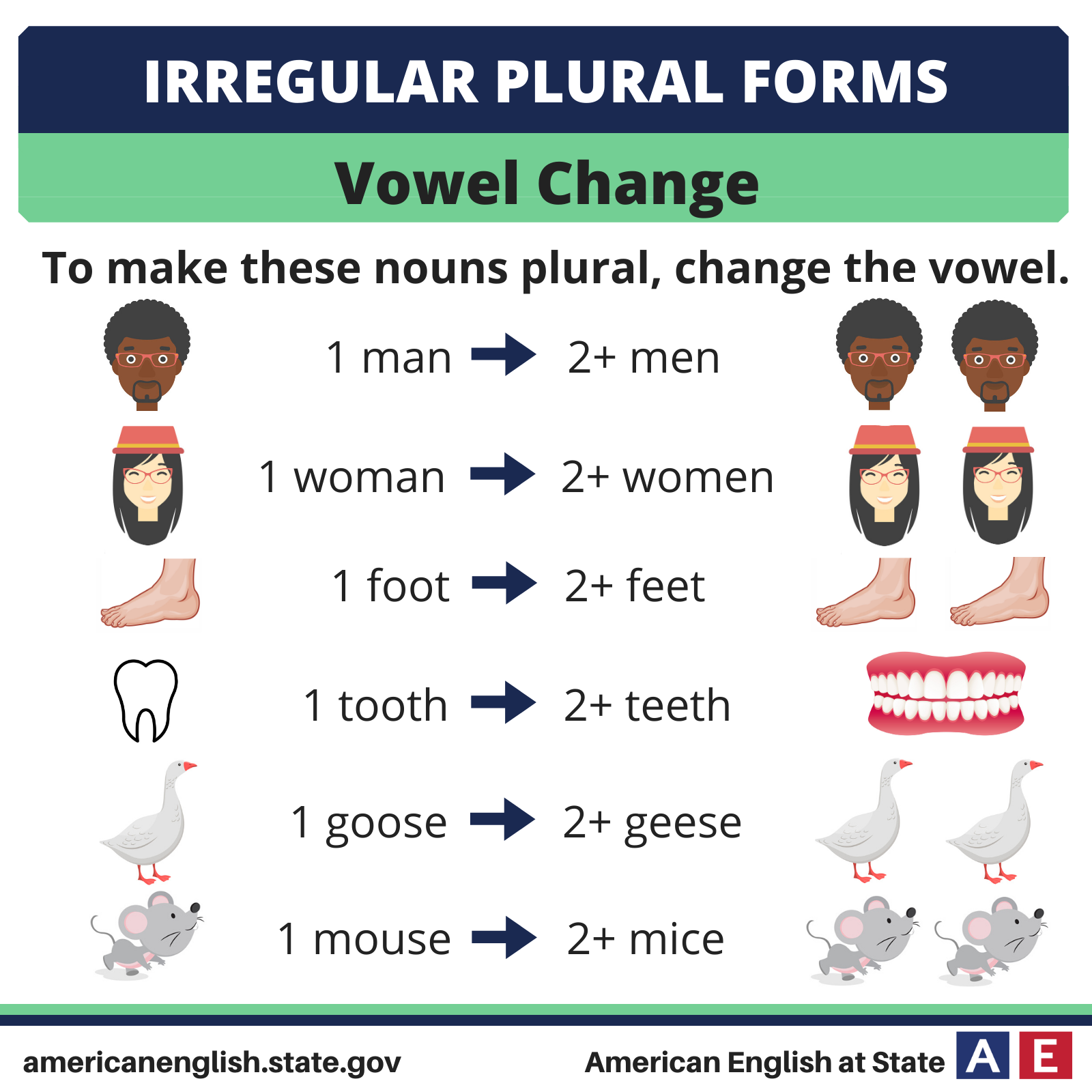 Irregular plural nouns list. Plural of nouns irregular nouns. Irregular plurals exercise. Plural nouns in english исключения. Irregular plurals worksheets.