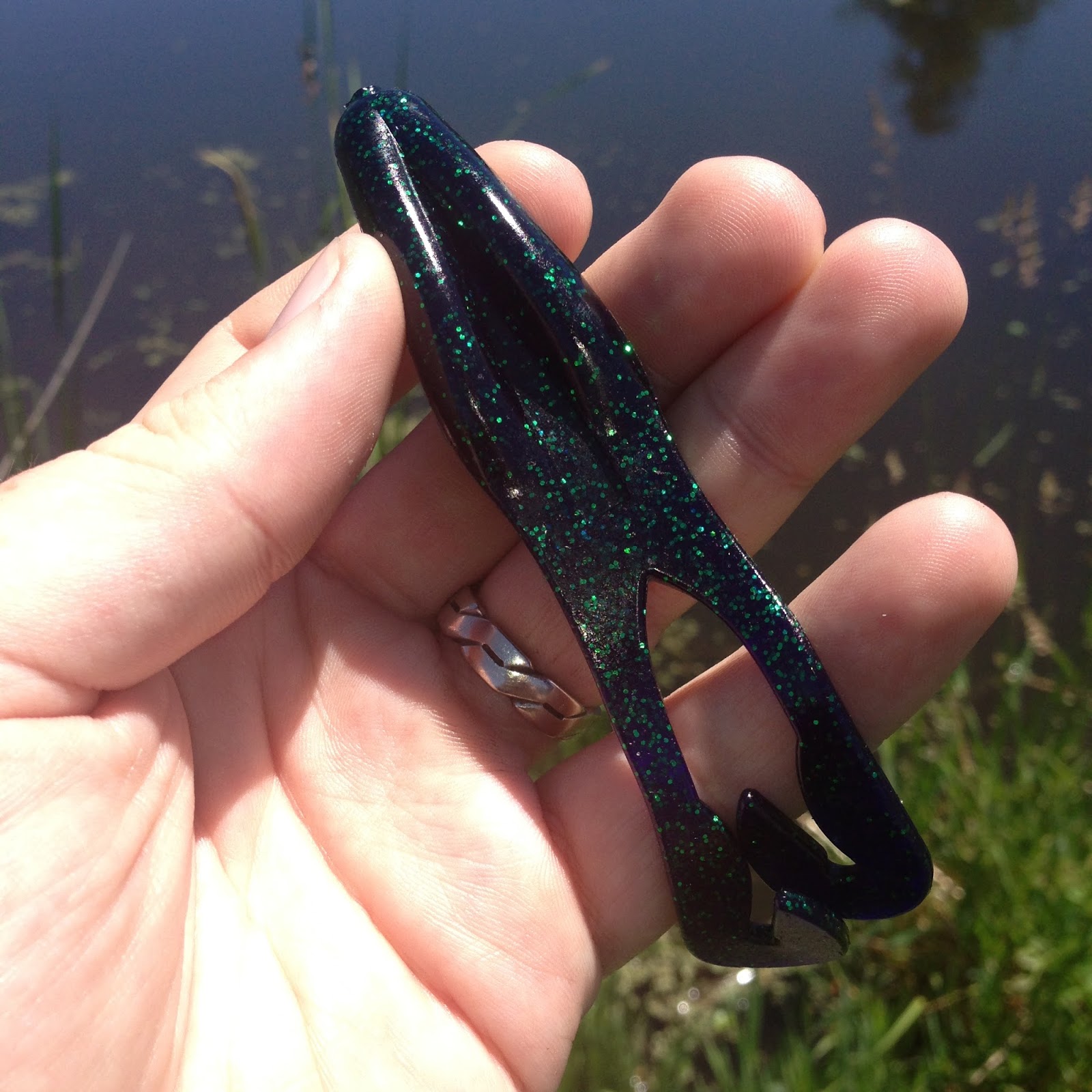 Bass Junkies Frog Pond: Gambler Buzz'n Cane Toad Review