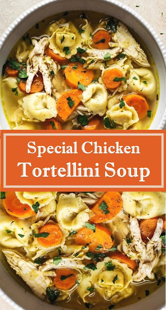 Special Chicken Tortellini Soup Recipe