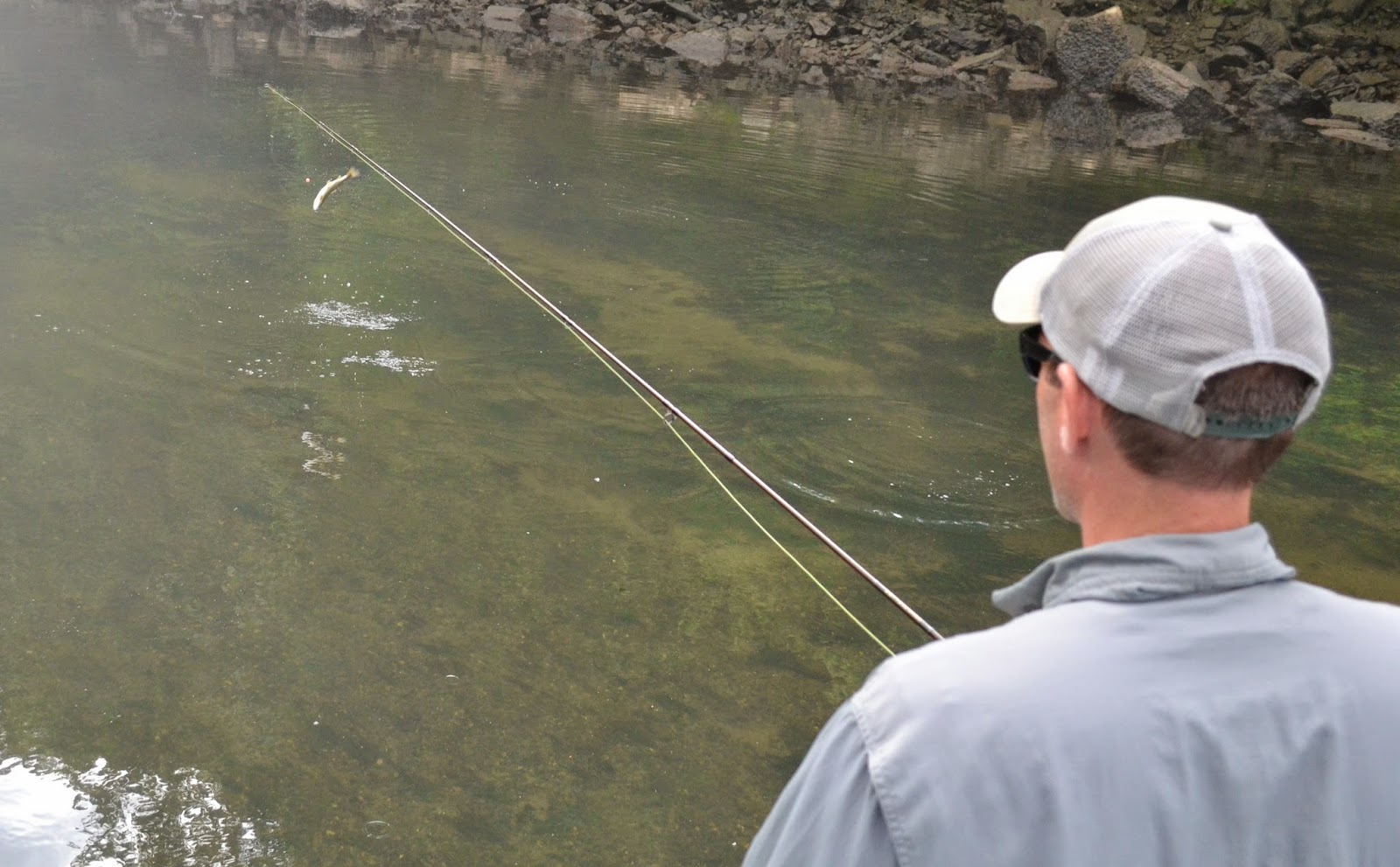 Southeastern Fly Tennessee Trout Fishing