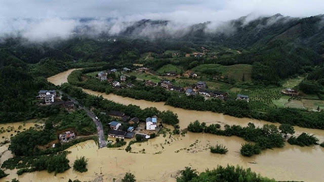 “Con gà đẻ trứng vàng” của EVN và Bộ Công thương đã bị khởi tố