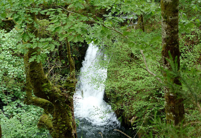 Cascadas Río Infierno Cascadas Río Infierno