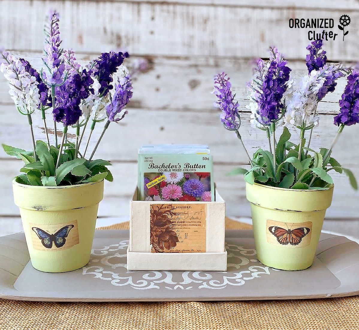 Spring Decor With Dollar Tree Pots, Boxes, Floral Stems, and Seed