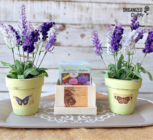 Spring Decor With Dollar Tree Pots, Boxes, Floral Stems, and Seed