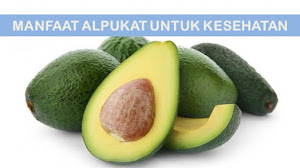 Manfaat alpukat untuk kesehatan yang harus diketahui.