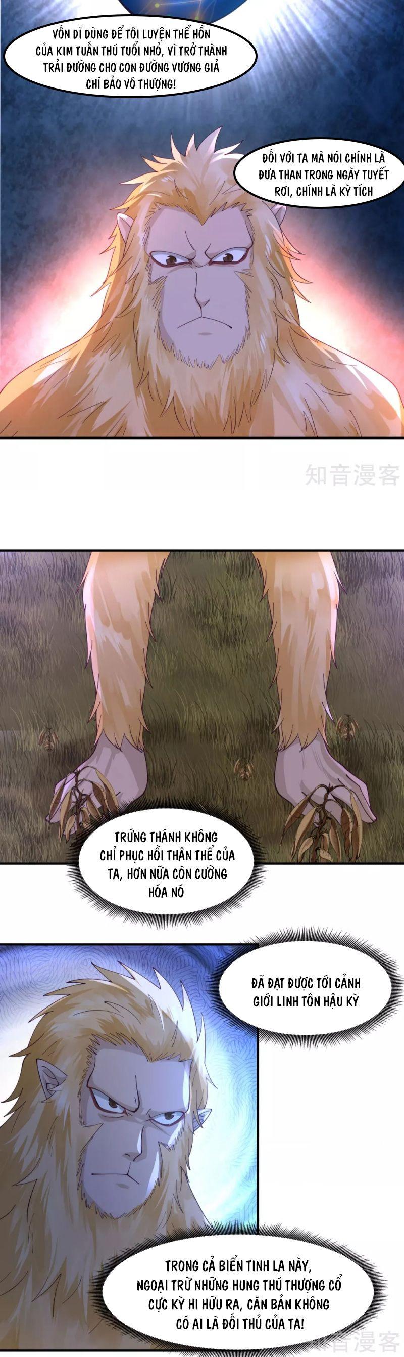 Hỗn Độn Đan Thần chapter 155 - Trang 11