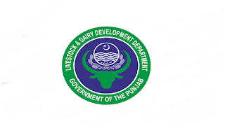 Livestock Jobs 2021 - Livestock Punjab Jobs 2021 - Livestock Jobs Near Me - Livestock Employment Opportunities - Diary Development Jobs 2021 - Diary Development Punjab Jobs 2021 Livestock Jobs 2021 - Livestock Punjab Jobs 2021 - Livestock Jobs Near Me - Livestock Employment Opportunities - Diary Development Jobs 2021 - Diary Development Punjab Jobs 2021