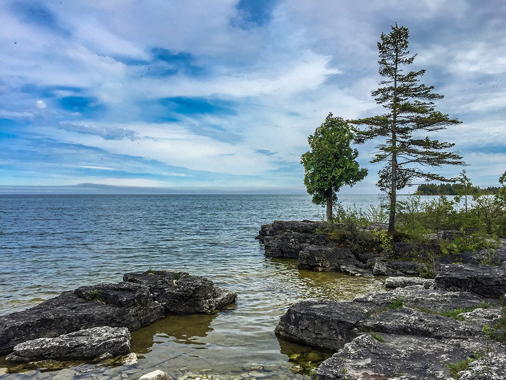 Two famous trees at Toft Point State Natural Area in Bailey's Harbor Door County