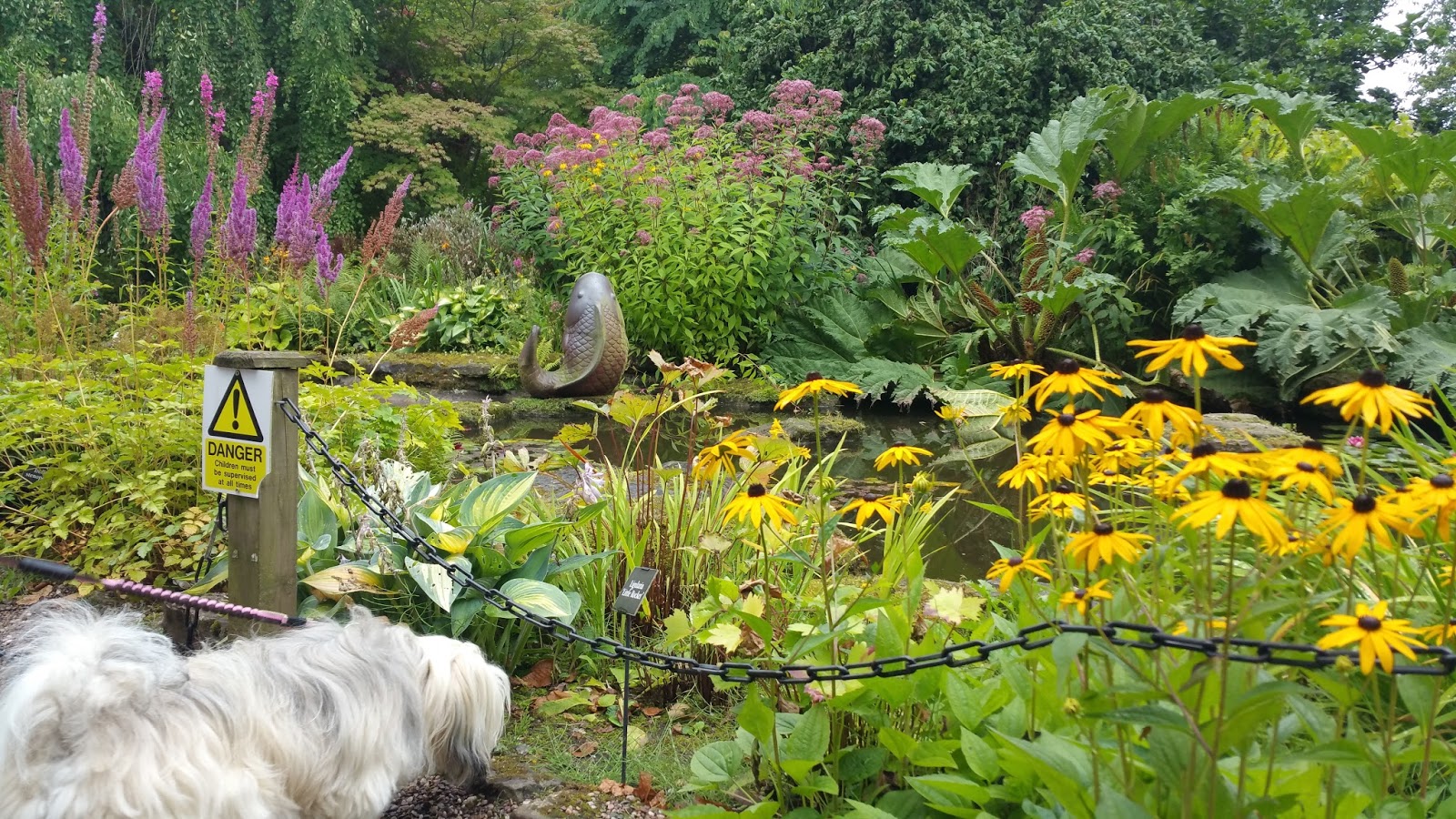 Bridgemere Garden Centre | Nantwich | Cheshire | Paws across Britain