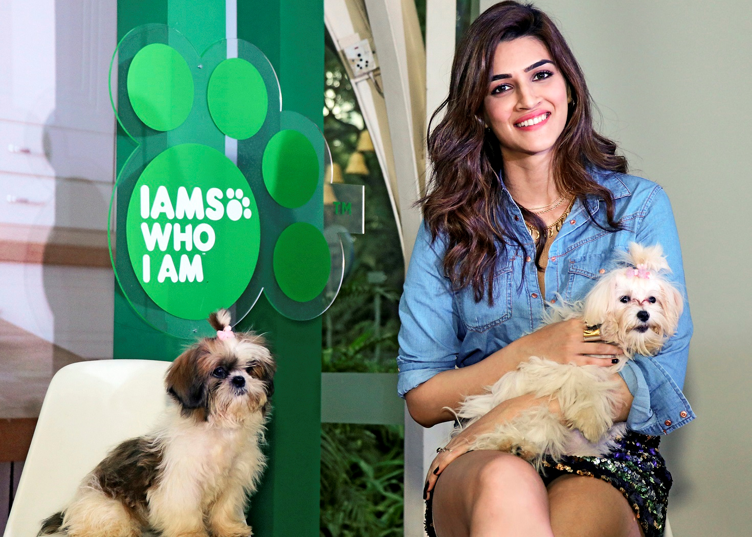 Mars Petcare Launches its Premium Pet Nutrition Brand, IAMS in India