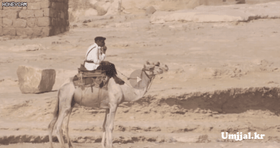 Umjjal_kr_043.gif